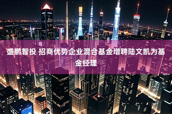 盛鹏智投 招商优势企业混合基金增聘陆文凯为基金经理