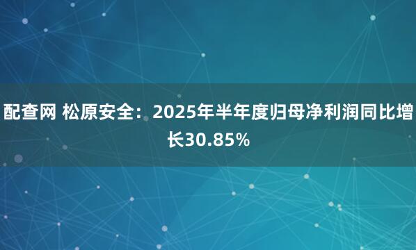 配查网 松原安全：2025年半年度归母净利润同比增长30.85%