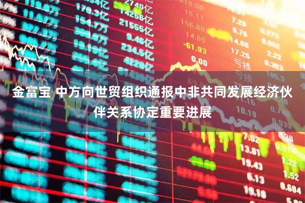 金富宝 中方向世贸组织通报中非共同发展经济伙伴关系协定重要进展