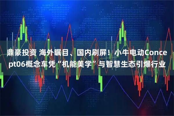 鼎豪投资 海外瞩目、国内刷屏！小牛电动Concept06概念车凭“机能美学”与智慧生态引爆行业