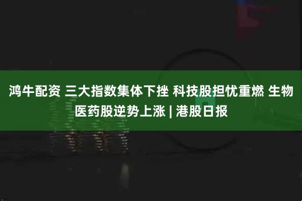鸿牛配资 三大指数集体下挫 科技股担忧重燃 生物医药股逆势上涨 | 港股日报