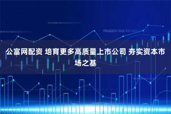公富网配资 培育更多高质量上市公司 夯实资本市场之基